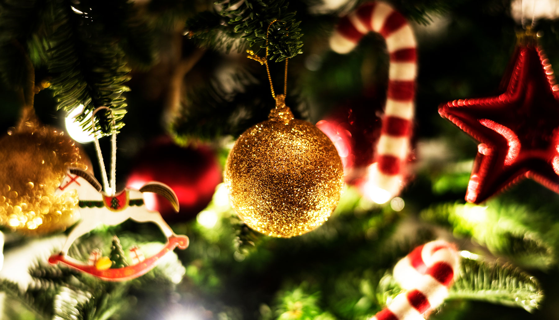 Decibelles Ladies Choir Christmas Concert